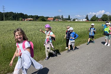 Obrázek č.17