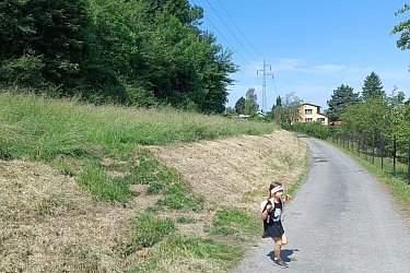 Obrázek č.23
