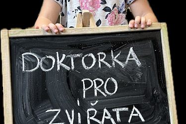 Obrázek č.11