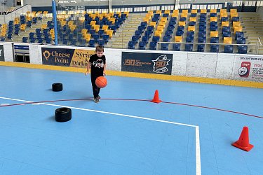 Obrázek č.25