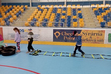 Obrázek č.43