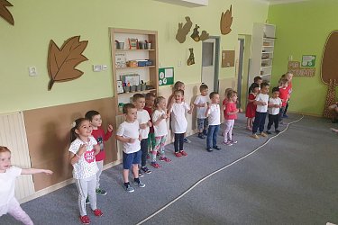 Obrázek č.43