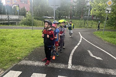 Obrázek č.39