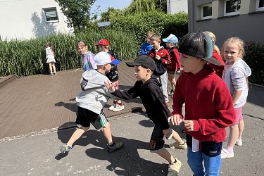 Obrázek č.33