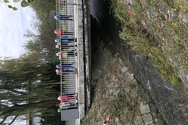 Obrázek č.17