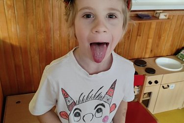 Obrázek č.14