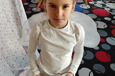 Obrázek č.17