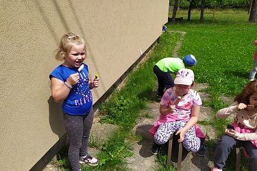Obrázek č.39