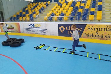 Obrázek č.147