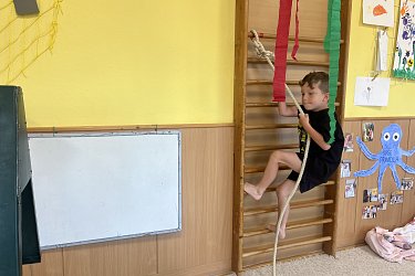 Obrázek č.16