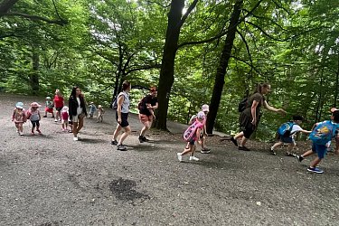 Obrázek č.29