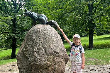 Obrázek č.63