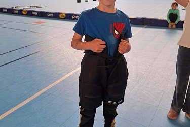 Obrázek č.33