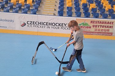 Obrázek č.21