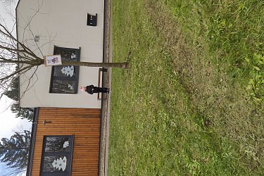 Obrázek č.38