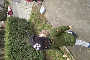 Obrázek č.42