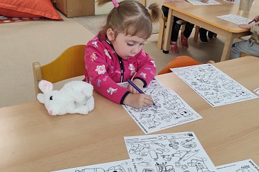 Obrázek č.17