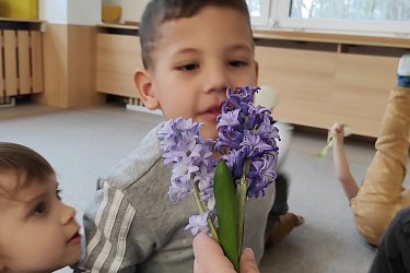 Obrázek č.14