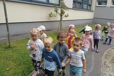 Obrázek č.66