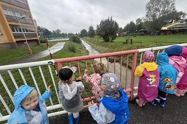 Obrázek č.126