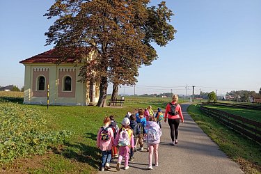 Obrázek č.17