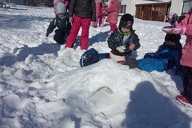 Obrázek č.215