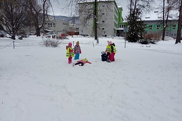 Obrázek č.235