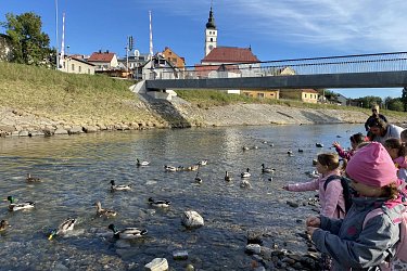 Obrázek č.29
