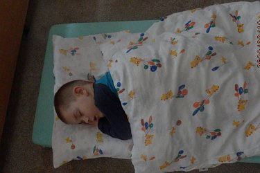 Obrázek č.62