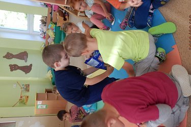 Obrázek č.270