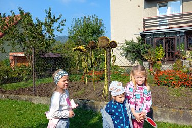 Obrázek č.15