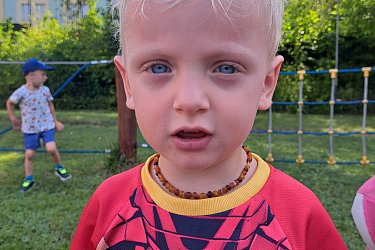 Obrázek č.69