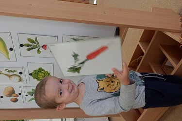 Obrázek č.7