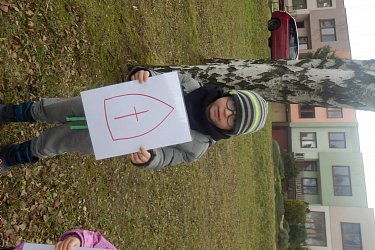 Obrázek č.105
