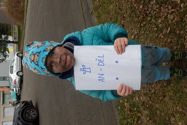 Obrázek č.113