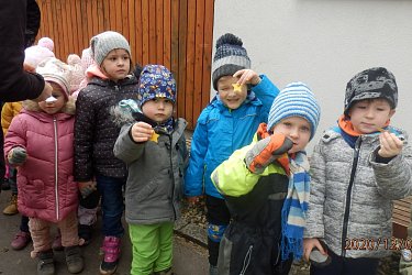 Obrázek č.126