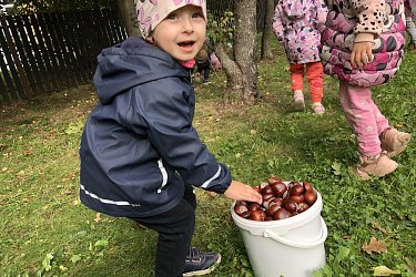 Obrázek č.68