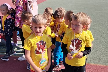 Obrázek č.17