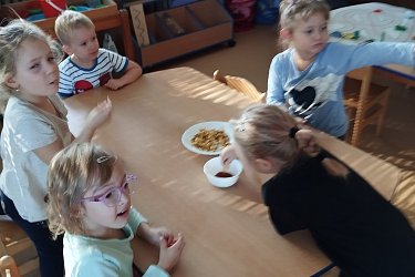 Obrázek č.15
