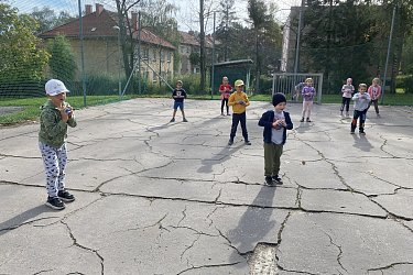 Obrázek č.50