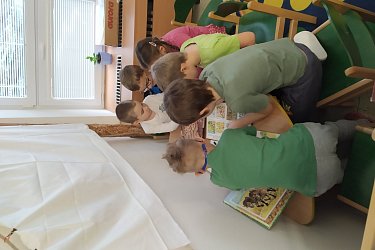 Obrázek č.10