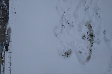 Obrázek č.13
