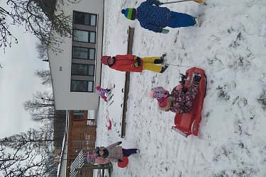 Obrázek č.43