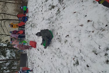 Obrázek č.67