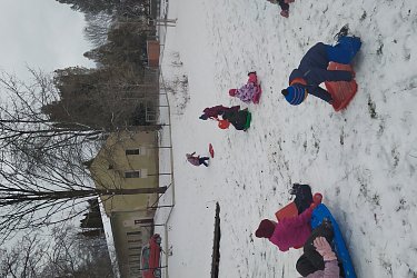 Obrázek č.77