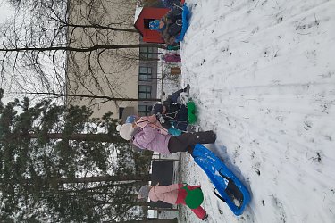 Obrázek č.80