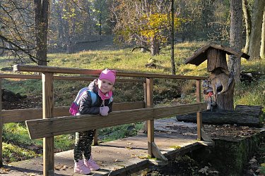 Obrázek č.59