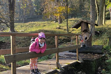 Obrázek č.62
