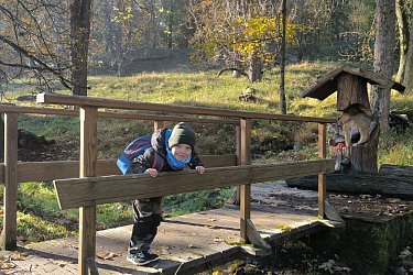Obrázek č.61