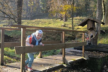 Obrázek č.63